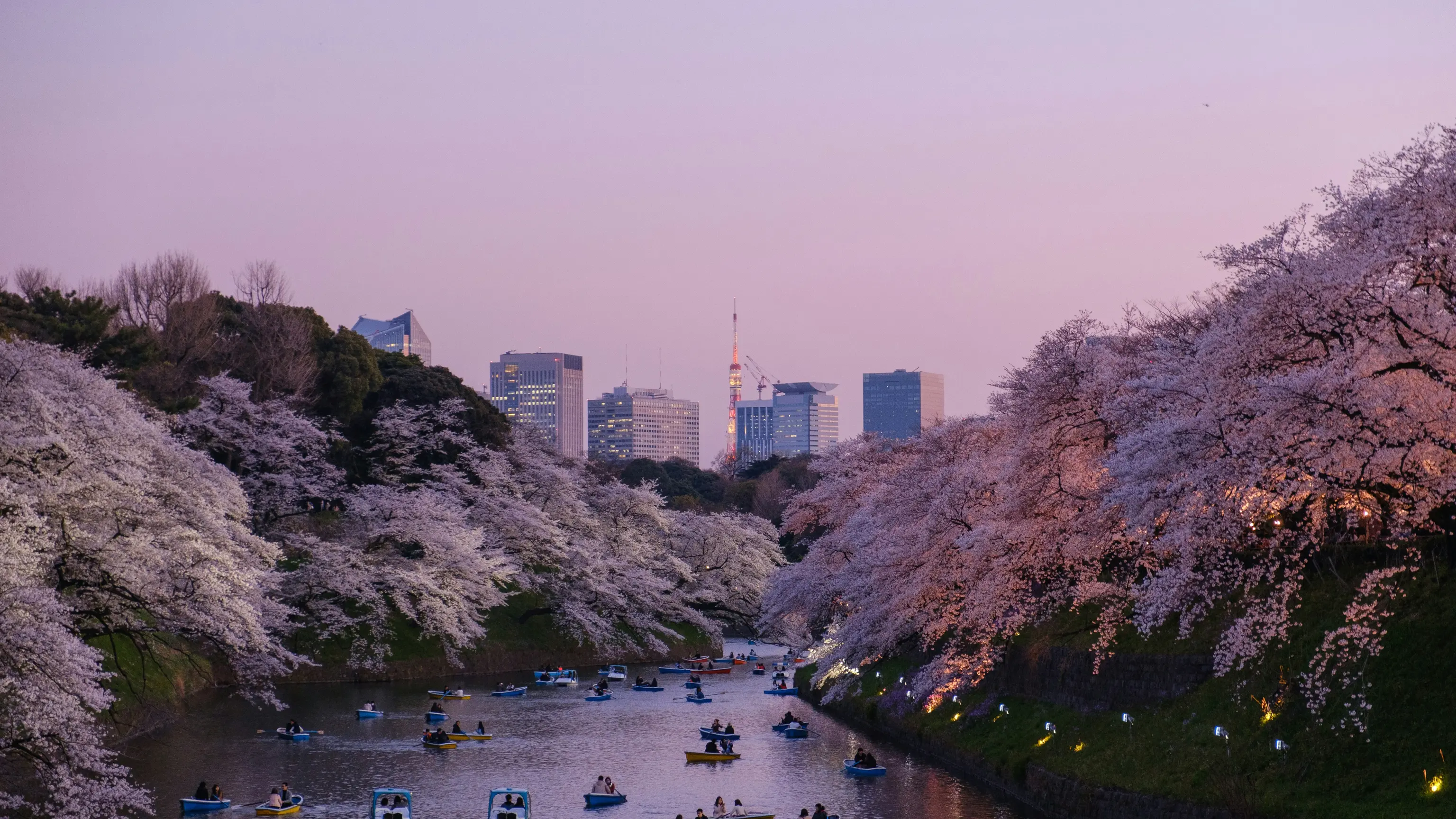 Haneda International Airport